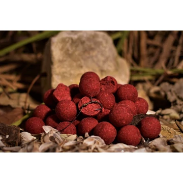  CHILI & SPICE 1000gr